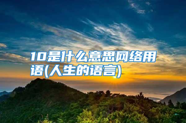 10是什么意思网络用语(人生的语言)