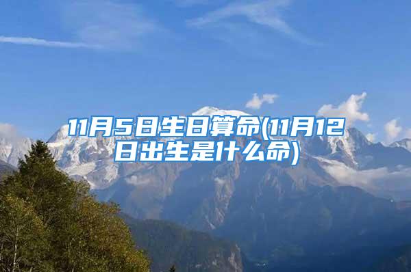 11月5日生日算命(11月12日出生是什么命)