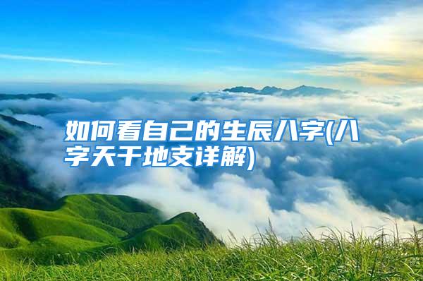 如何看自己的生辰八字(八字天干地支详解)