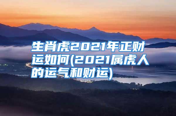 生肖虎2021年正财运如何(2021属虎人的运气和财运)