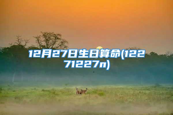 12月27日生日算命(12271227n)
