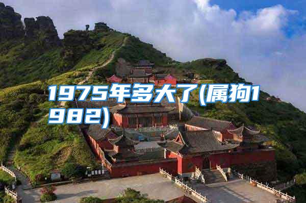1975年多大了(属狗1982)
