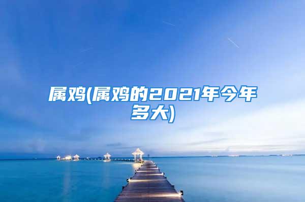 属鸡(属鸡的2021年今年多大)