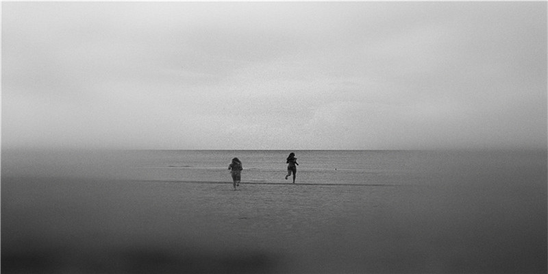 属狗今日运势偏财运(属狗的人进入7月30日开始)