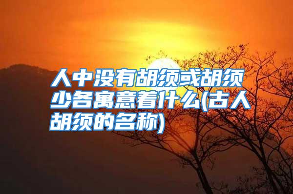 人中没有胡须或胡须少各寓意着什么(古人胡须的名称)