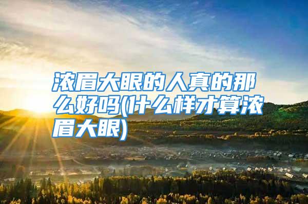 浓眉大眼的人真的那么好吗(什么样才算浓眉大眼)