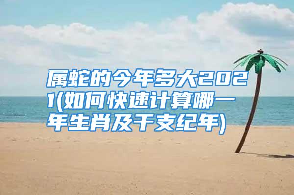属蛇的今年多大2021(如何快速计算哪一年生肖及干支纪年)