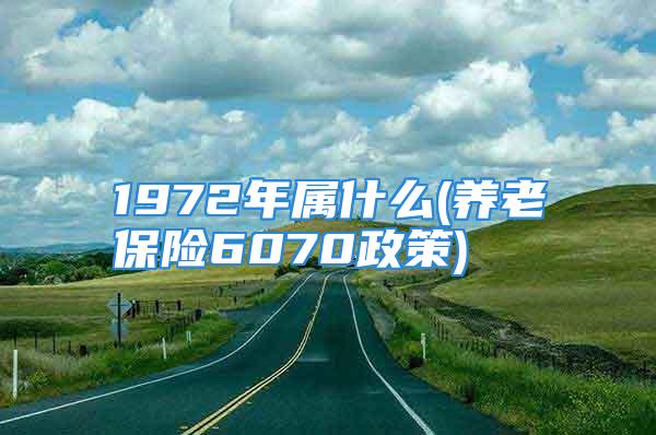 1972年属什么(养老保险6070政策)