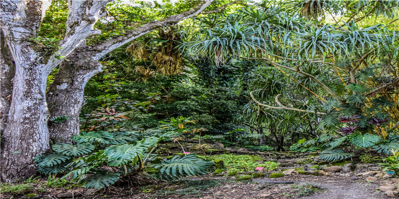 人中有痣一生多子多孙吗？(痣多的人代表什么)