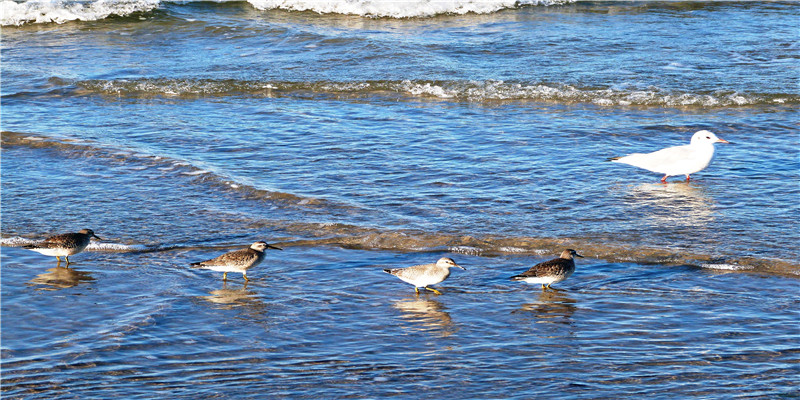 晚婚的八字什么样(八字看早婚晚婚)
