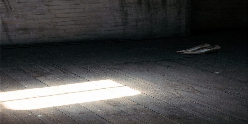 梦到杀鸡是什么意思 (梦到杀鸡是什么预兆)