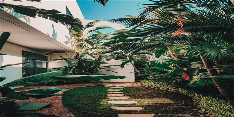 属鼠人生于辰时命运 (属鼠人时辰出生命运)