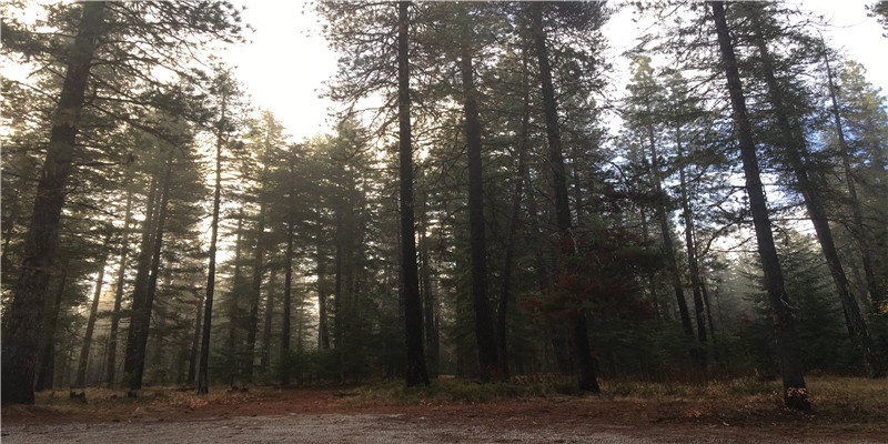 庚辰日什么时辰出生好 (庚辰年庚辰日出生好吗)