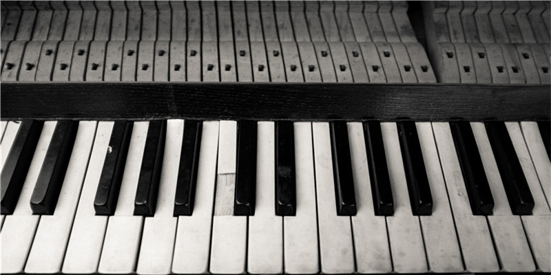 生肖猴的财运方位(会有财运代表什么生肖)