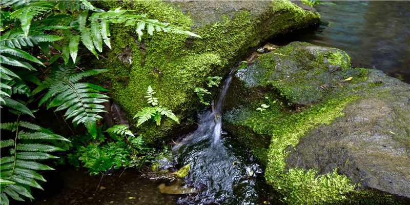 最有福气的八字(什么八字有福气)