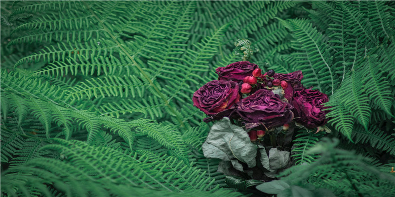 永远深爱着初恋的星座(初恋的感情)