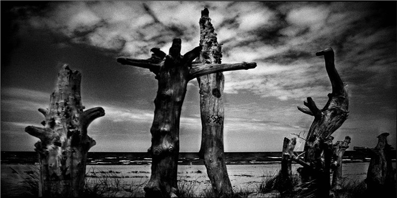 梦到发生了大灾难预示着什么 (梦见有大灾难要发生寓意什么)