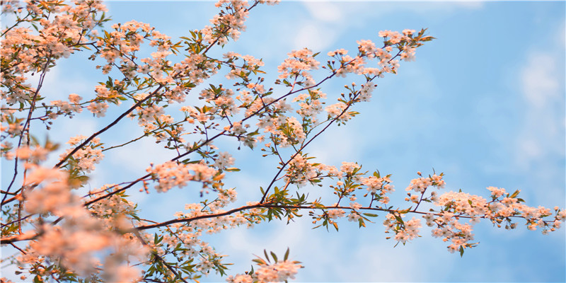 如何快速调节婆媳关系(婆媳之间关系)