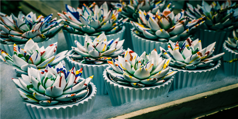 梦到把钱借给别人是什么意思 (做梦梦到借钱给别人是什么意思)