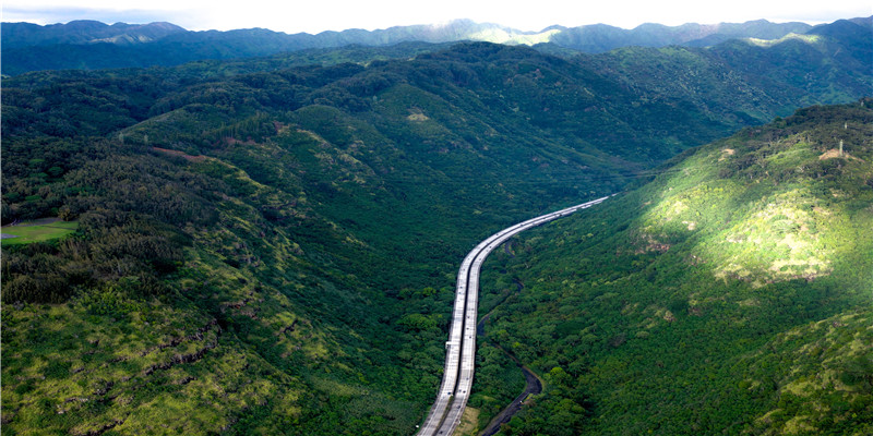 属龙人几月出生好猪几月出生好 (属龙人几月出生的人最好)