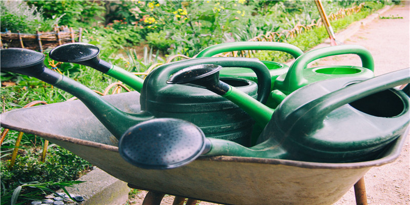 男命走偏财运好不好(伤官生财格男命)