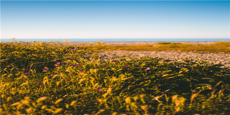 怎么样从八字中看婚姻(八字算命看婚姻)