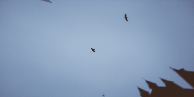 爱情坎坷的女人面相(这面相不太好)