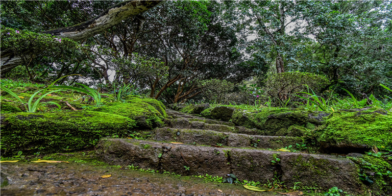一个词读懂十二星座性格(处女座的星座关系)