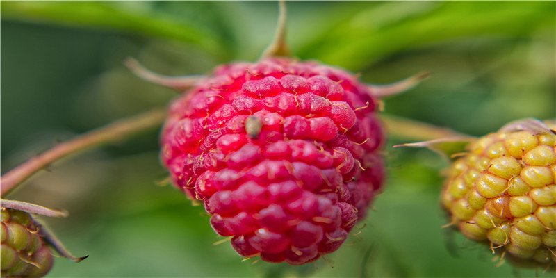 好听的微店名字大全(微店名称推荐)