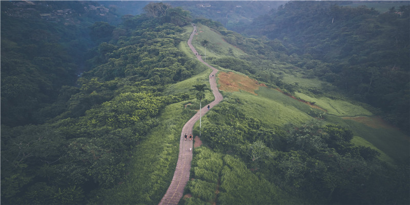 什么是烦恼线(不好的掌纹)