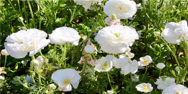 姓名测试打分 免费测名字打分911(姓名测试打分 免费测名字打分911查询)