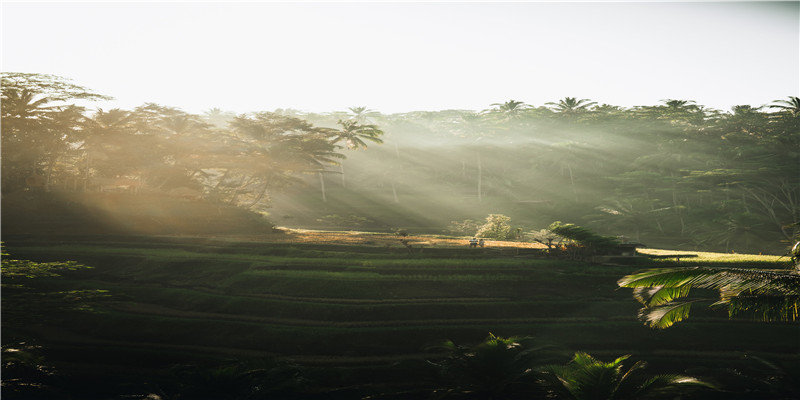 破龙脉的手法都有哪些?(风水龙脉是什么意思)