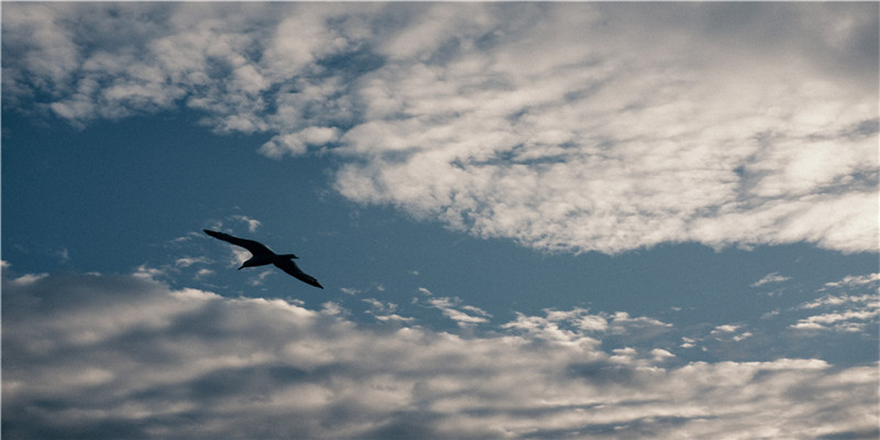梦到水里有死人 (梦到水里有死人肢体)