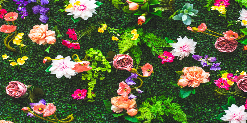 梦到前前男友是啥意思 (梦到前前男友是什么意思啊)