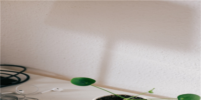 细数属猪女的优点(属猪的人吉祥数字)