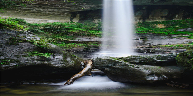 伪君子的八字特征(虚伪的八字)