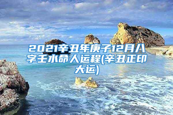 2021辛丑年庚子12月八字壬水命人运程(辛丑正印大运)