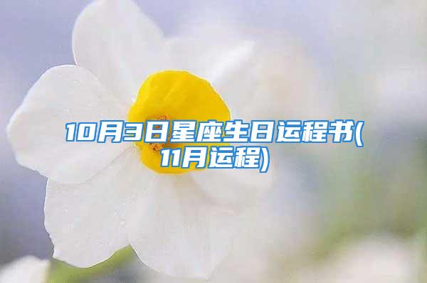 10月3日星座生日运程书(11月运程)