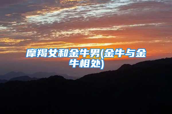 摩羯女和金牛男(金牛与金牛相处)