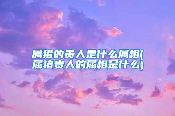 属猪的贵人是什么属相(属猪贵人的属相是什么)