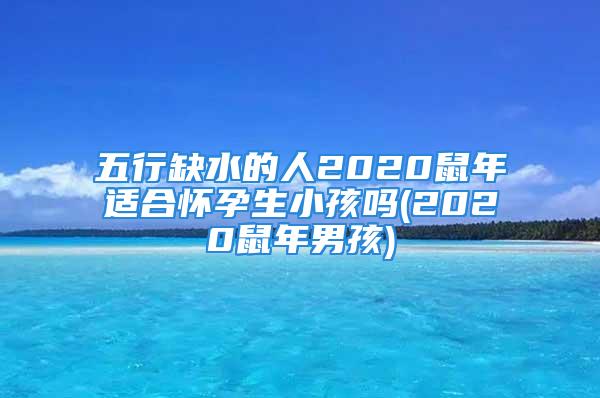 五行缺水的人2020鼠年适合怀孕生小孩吗(2020鼠年男孩)