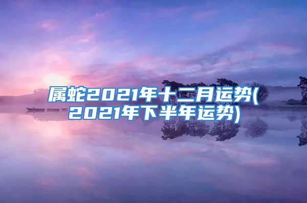 属蛇2021年十二月运势(2021年下半年运势)