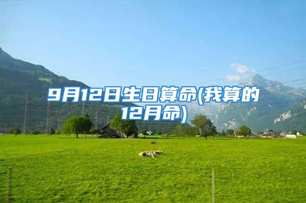 9月12日生日算命(我算的12月命)