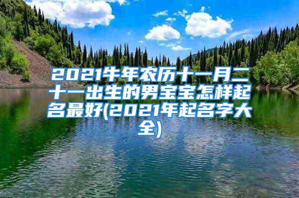 2021牛年农历十一月二十一出生的男宝宝怎样起名最好(2021年起名字大全)