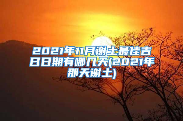 2021年11月谢土最佳吉日日期有哪几天(2021年那天谢土)
