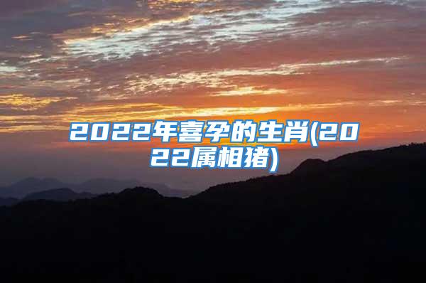 2022年喜孕的生肖(2022属相猪)