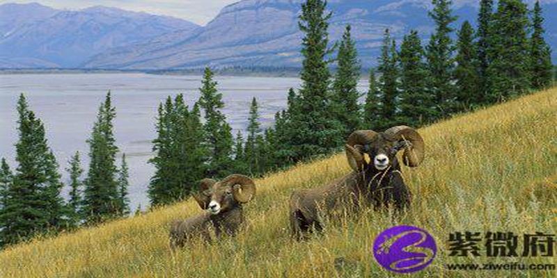 大溪水怕霹雳火吗(大溪水命五行属什么)