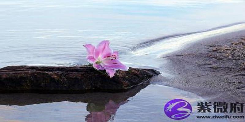 壬辰日女会怎么样?女命壬辰日生