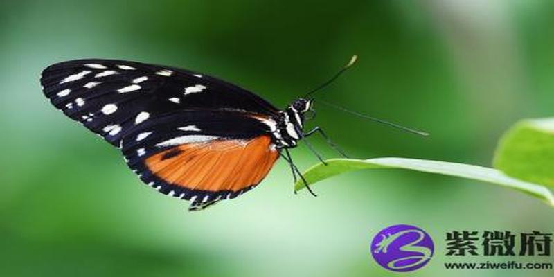 五行缺火缺土(五行缺火的行业与职业)