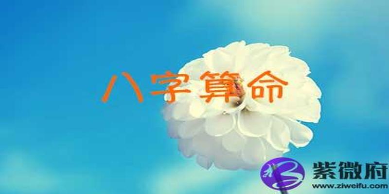 八字算命卜易居网(算命的八字是什么意思)